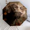 Black Labrador Retriever Pattern, Automatic Folding Umbrella, Portable and Foldable Design, 8 Ribs, a Christmas or Birthday Gift.