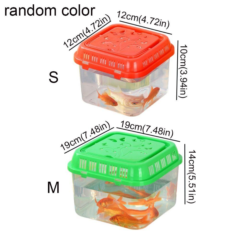 Transparente Reptilienfutterbox Kunststoff Mini-Fischaquarium Reptilientransportbox Tragbares Aquarium Zuhause