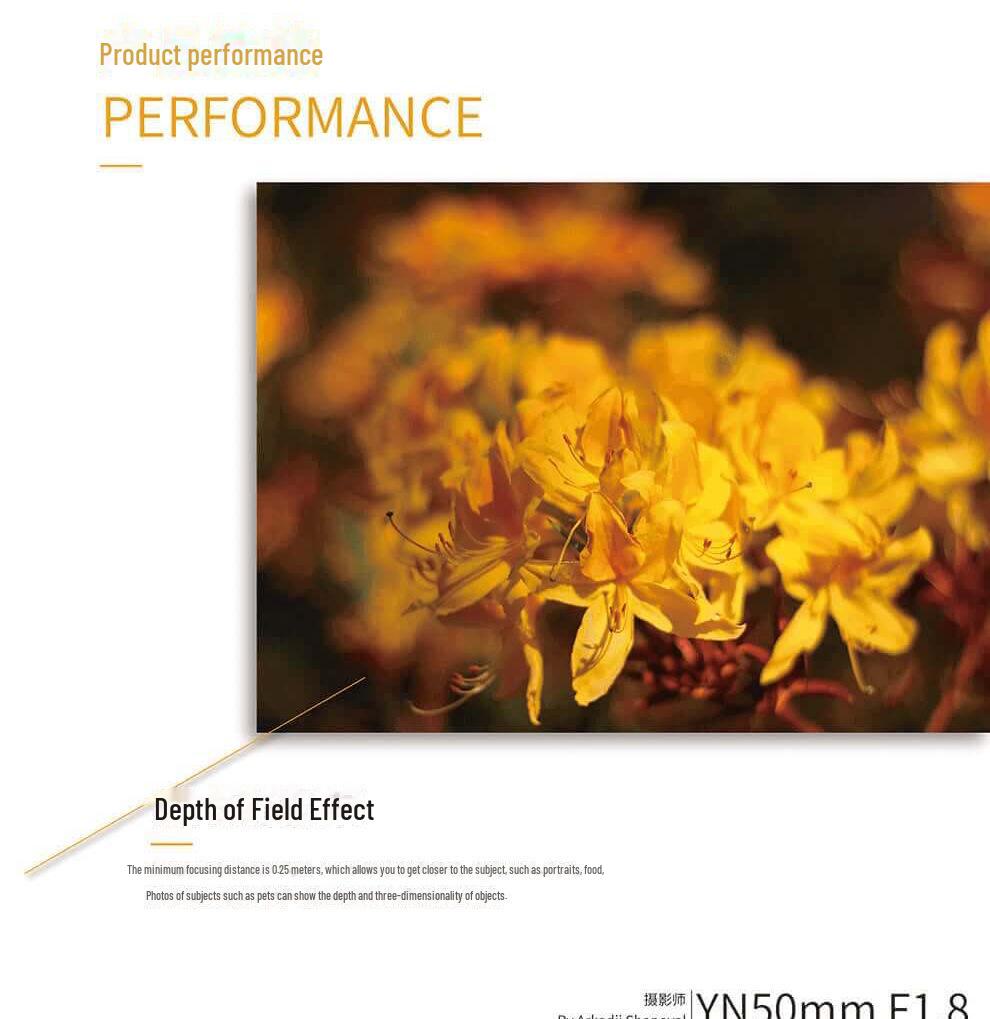 Obiectiv YONGNUO 50mm F1.8 pentru Canon: Focalizare automată, focalizare fixă, estompare fundal portret