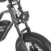 Electric Bicycle FAFREES F20 Ultra 20" 750W Motor Electric Bike Adult Top Speed 40Km/h 48V 25AH Range 140Km Load 180Kg