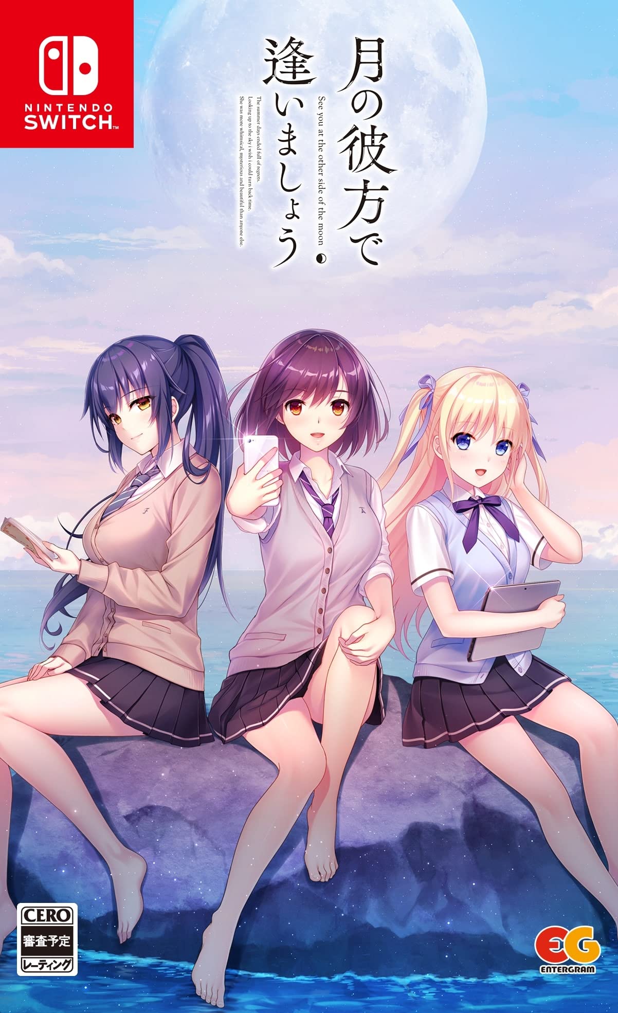 

Увидимся на обратной стороне Луны Switch -