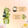 Solar Garden Light Frog Statue Decorative Frog Path Lamps with Lantern Solar Lantern Lights Outdoor Garden for Patio Lawn