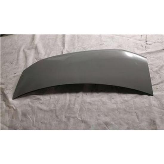 Foton Electrophoretic Gray Front Hood Assembly - W166000000004