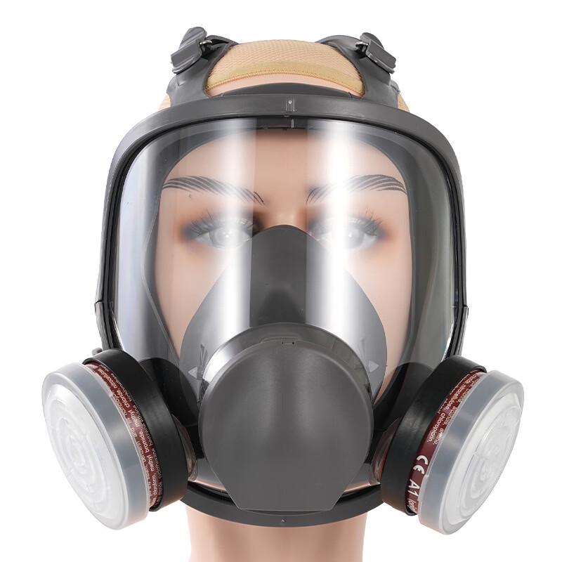 Lieve Full Face Gas Mask