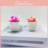 Plastic Mock Succulent Plants Set Small Pot For Tabletop And Vehicle Decor