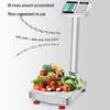 Yingheng 100kg Foldable Stainless Steel Rechargeable Platform Scale (CN Version)