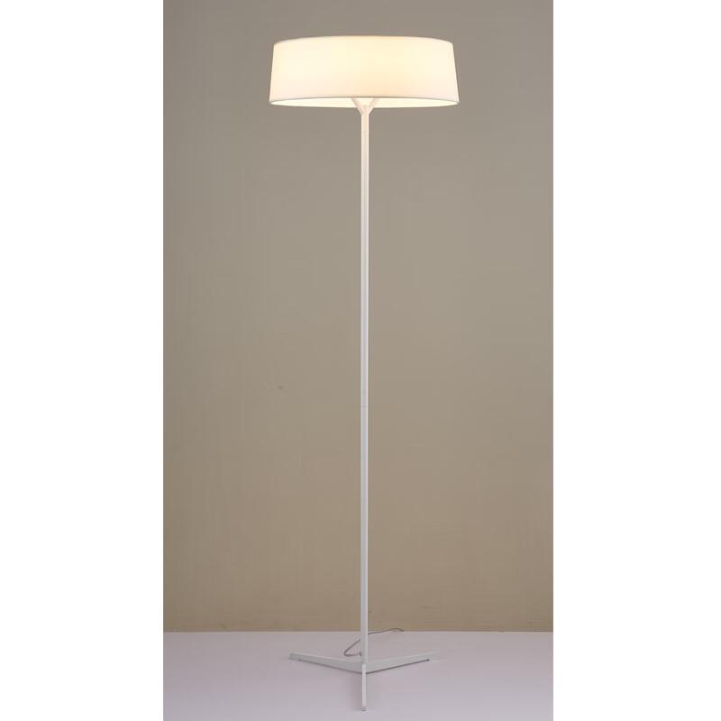 Nu Feng Rechargeable LED Floor Lamp