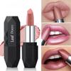 Pearlescent Lipstick Long Lasting Waterproof Pink Rosey Metallic Diamond Lip Stick Create Silky Charming Plump Bold Lip Makeup