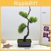 Densata Artificial Pinus Pineneedle Greenery Landscape Decor For Living Room
