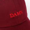 Nové Unisex Jaro léto DAMN Klobouky Vyšívaný Earth Dad Hat Hip Hop kšiltovka Kendrick lamar Rapper Snapback klobouky Baseballová čepice