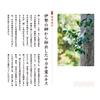 Face Mask Pack Lululun Oise Lululun of 7 sheets x 2 packs (Scent Trees)