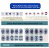 Plant & Animal Cell Models for Middle School Biology: Mitosis & Meiosis Teaching Aids