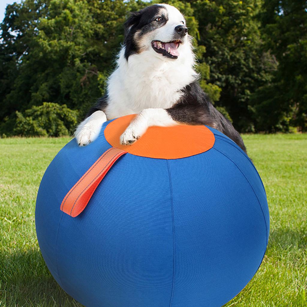 Dog Herding Ball for Outdoor Active Play and Exercise Large Ball with Handle Toy Ball for Shepherds Corgis Collies