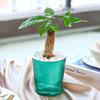 Vaso de Flores Autoirrigável Plástico Listrado com Cordas de Pavio Reservatório de Água Vaso para Plantas de Interior para Mesa Escritório Decoração de Casa