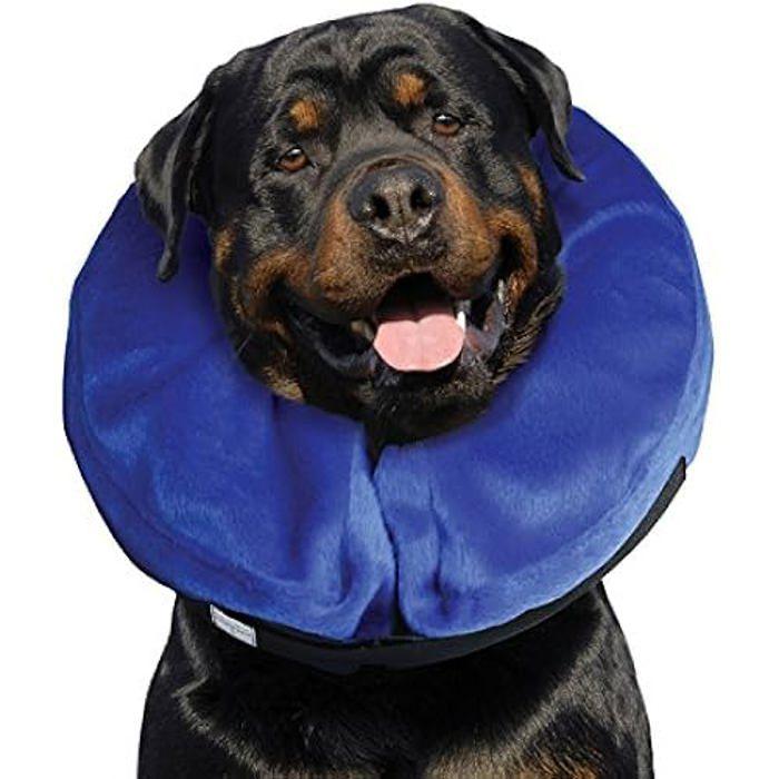 E-Collar - KONG - Cloud Model - Size X-Large - Blue Color - For Dogs