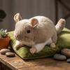 Lifelike Chinchilla Plush Toys Cozy Simulation Rat Doll Totoro Plush Doll  Children Companion