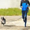 Strong Dog Leash 2/3/5/10/15/20m Cat Traction Rope Heavy Duty Pet Lead Leash  Walk Training Dogs