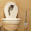 Cute Funny Cats Wall Sticker Hole View Bathroom 3D Toilet Stickers For Home Decoration Animals Decals Self-adhesive Poster
