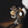 Black Street Style Handmade Hip Hop Jewelry Man Opening Ring Retro Zinc Zinc Alloy Ring Silver Snake Ring