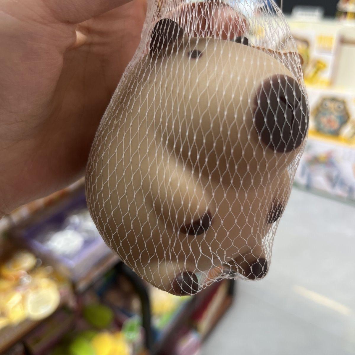 

Large Creative Capybara Squeeze Doll - Cute Decompression Toy for Children 150g Capybara Squeeze Toy [Net Bag]