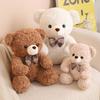 35/50/60CM Cute Sit Bear Plush Toys 5Colour Bear Plushie Pillow Stuffed Soft Dolls for Kids Girls Lover Gifts Room Decor