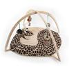 52x35cm cat play mat cat tent activity center with hanging cat toy ball mouse outdoor pet bed cat play tent easy to carry