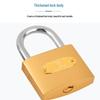 Deyu Gongpin Imitation Copper Padlock