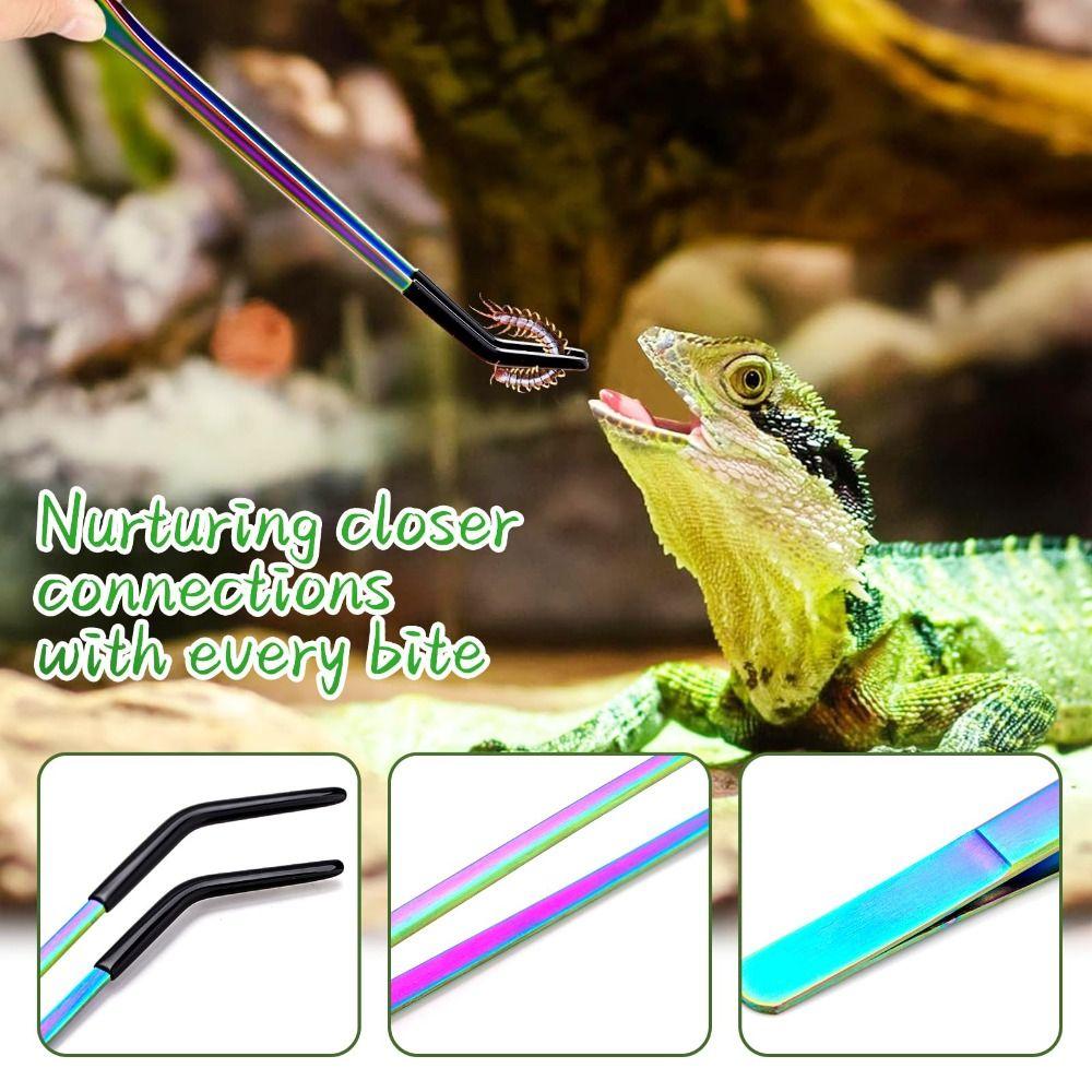 2PCS Stainless Steel Reptile Feeding Tongs Feeder Tools  Bearded Dragons Lizards