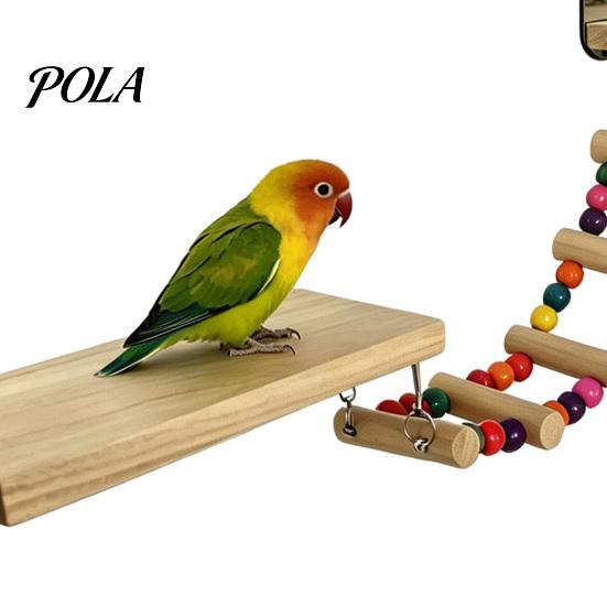 Niet-reflecterende Vogelspiegel 1 Set Kooi Papegaai Speeltjes, Houten Zitstok Platform met Spiegel, Ladder, Kleurrijk Acryl Veiligheid voor Vogels Kralen Belletjes Schommel,