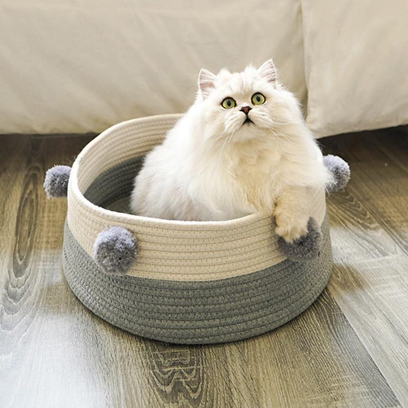 persian cat bed