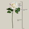 Real Touch Rose Artificial Flower Multicolor Lifelike Rose Flower Faux Flower  Home Decoration