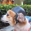 Adjustable Safety Pet Cap Dog Helmets Fashion Pet Protects Ridding Cap for Pet