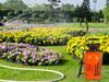 Garden Sprayer -5L (6) Gab_C