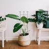 70x30cm Metal Potted Plants Climbing Trellis Supporting Frame Promote Plants Growth Support Stand for Indoor and Outdoor Plants