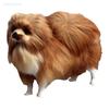 Realista Pomerania Simulación Juguete Perro Cachorro Realista Compañero Juguete Hecho a Mano Perro Caído Juguetes para Mascotas Simulación Relleno