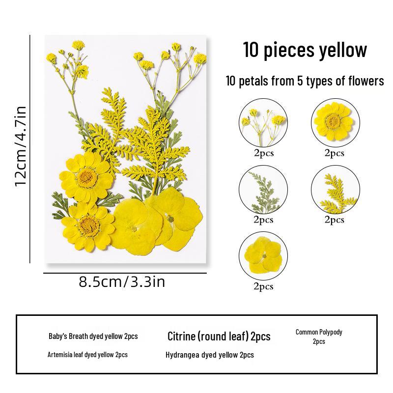 DIY Dried Flower Specimen Sticker Set for Kids: Handmade Pressed Flower Frames & Resin Bookmark Craft Kit