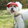 Sunproof Pet Outdoor Cap Comfortable Sun Hat For Dog Cats With Ventilated Ear For Daily Wear Walking Hiking Headwears