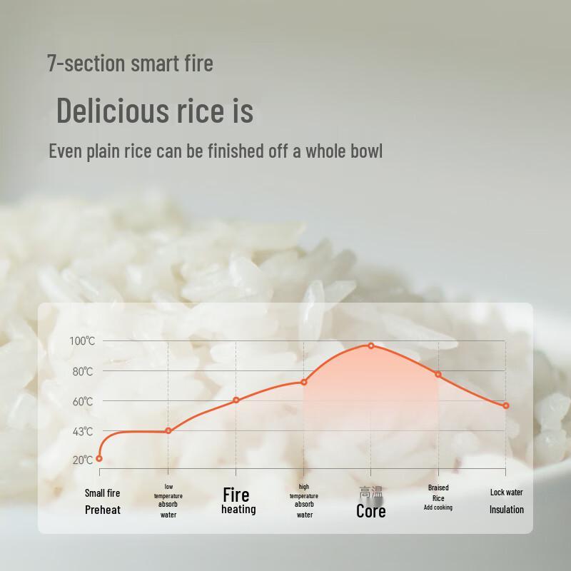 olayks Mini Multi-function Rice Cooker (2-3 Person) CN Plug (adapter Included)