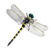 1/2/3/4/5 Sets Fake Dragonfly Decoration Portable Outdoor Camping Gnats Fly Repellent Simulated 3D Dragonfly Model Ornament Kids Educational Toy