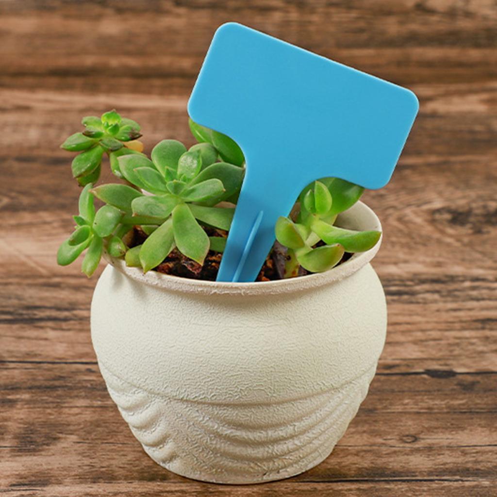 20PCS T Shape Garden Labels Thickening Garden Plant Tag Plant Classification Sorting Sign Tag Light