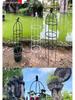 Clematis Rose Support Flower Stand with Climbing Frame for Indoor Plants