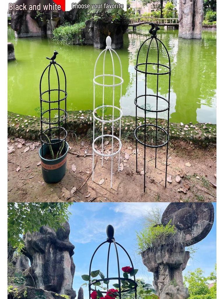 Clematis Rose Support Flower Stand with Climbing Frame for Indoor Plants