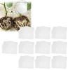5 Set Reusable Plant Growing Grafting Rooting Devices High Pressure Propagation   Garden Supplies