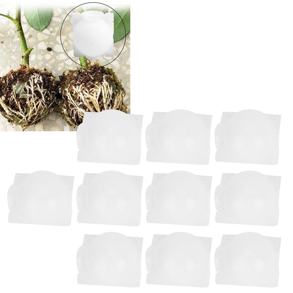 5 Set Reusable Plant Growing Grafting Rooting Devices High Pressure Propagation   Garden Supplies