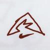 Nike Logo Breathable Short-Sleeve T-Shirt for Men White HJ3663-100