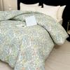 PAUI DAVID Starry Sleep Brushed Quilt