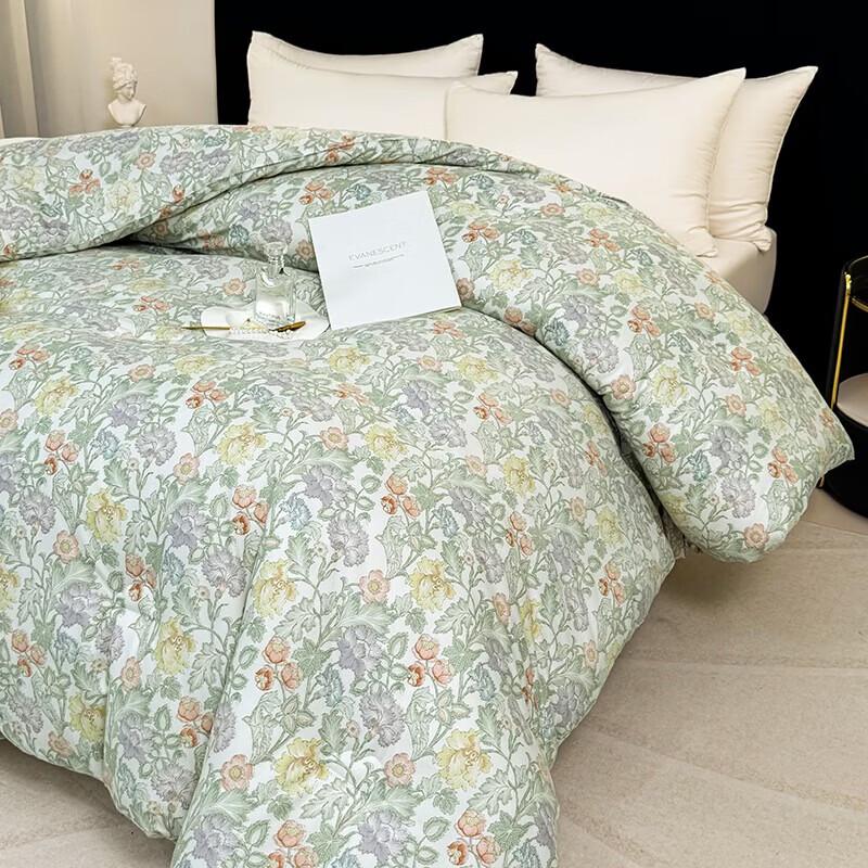 PAUI DAVID Starry Sleep Brushed Quilt