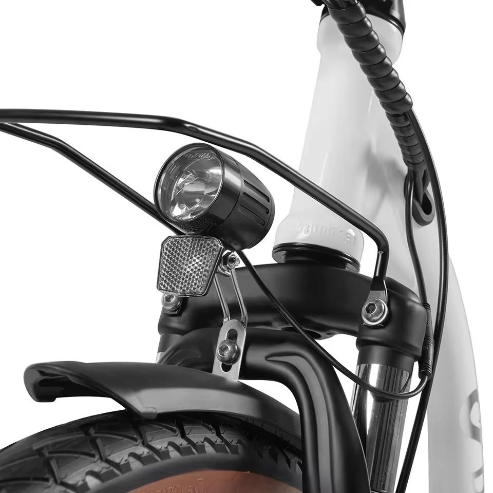 DYU C6 PRO Electric City Bike 36V 15.6Ah Battery, 250W Motor, Range 80 KM, Max Speed 25 km/h, 26*2.125 Inch Tires, E-Bike