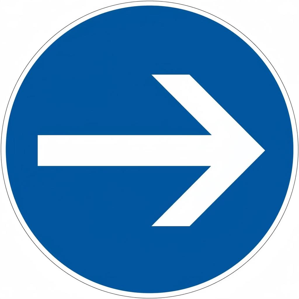 No sign Road Metal Sign,Video Alarm,Prohibited Access,Private Property,Attention Dog, No Enter,No Parking,Turn,Warning TYA0745