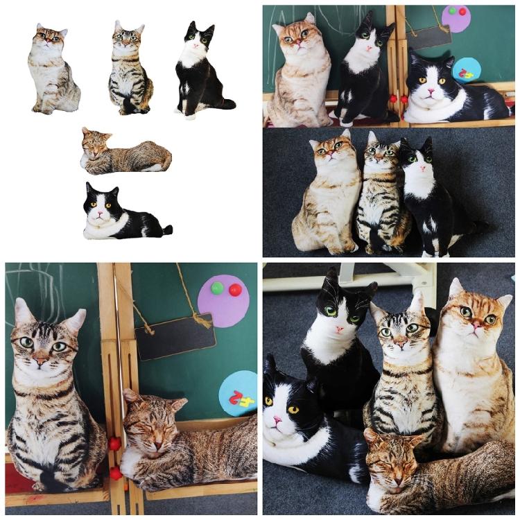 Simulation 3D Cat Cosplay Pillow Cushion Attractive Cute Pattern Bendable